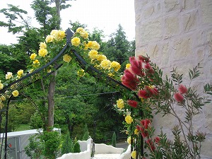 ���i�C���[�W