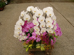 ���i�C���[�W