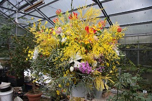 ���i�C���[�W