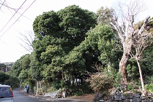 ���i�C���[�W