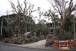 ���i�C���[�W