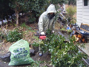 ���i�C���[�W