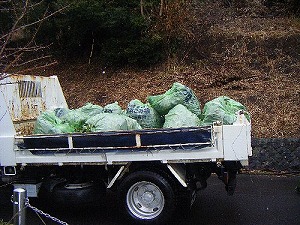 ���i�C���[�W