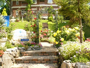 ���i�C���[�W