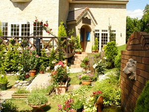 ���i�C���[�W