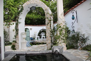 ���i�C���[�W