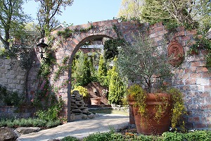 ���i�C���[�W