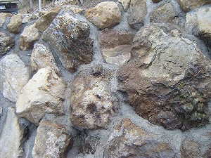 ���i�C���[�W