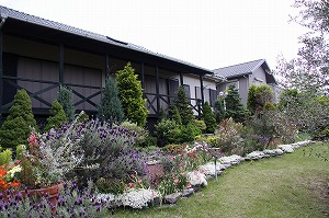 ���i�C���[�W