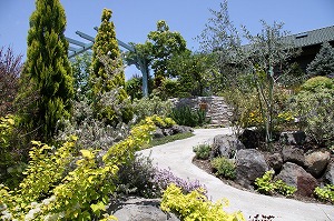 ���i�C���[�W