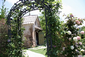 ���i�C���[�W