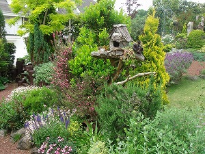 ���i�C���[�W