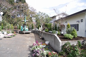 ���i�C���[�W