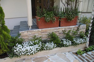 ���i�C���[�W