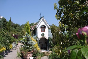 ���i�C���[�W