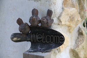 ���i�C���[�W