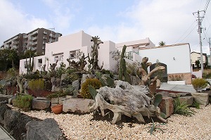 ���i�C���[�W