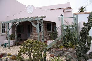 ���i�C���[�W